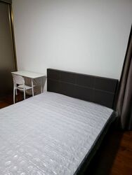 Normanton Park (D5), Apartment #497824441